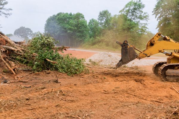 Ground Clearing in Buford