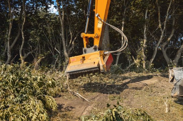Brush Removal Service in Buford