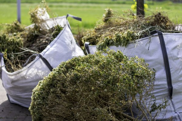 Bushes Clearing in Buford