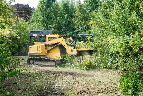 Pathway Clearing in Buford