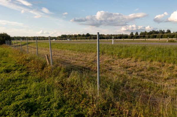 Cost of Property Line Clearing in Buford