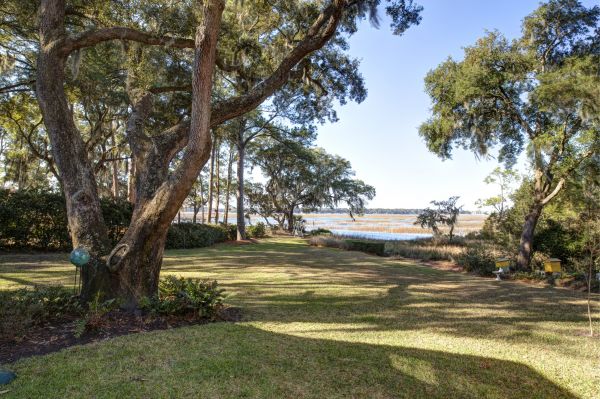 Lakefront Property Clearing in Buford