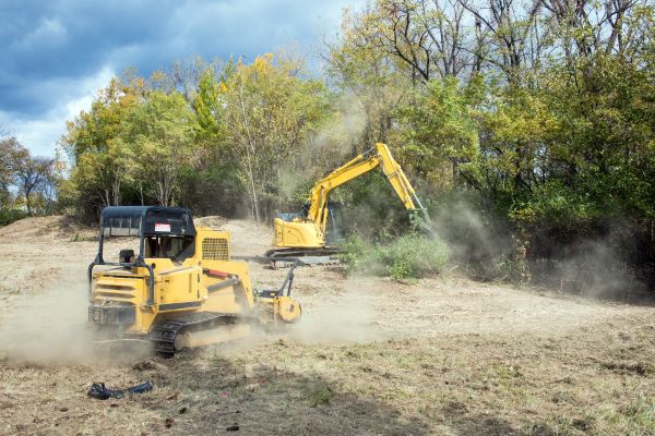 Cost of Terrain Clearing in Buford