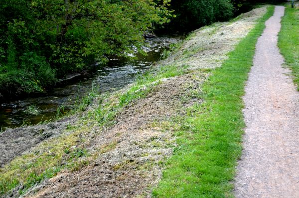 Cost of Trail Cutting in Buford